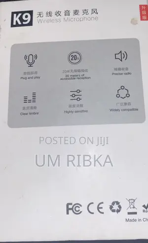 Wireless Mic