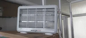 Mosquito Kill