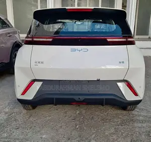 New BYD Seagull 2025 White