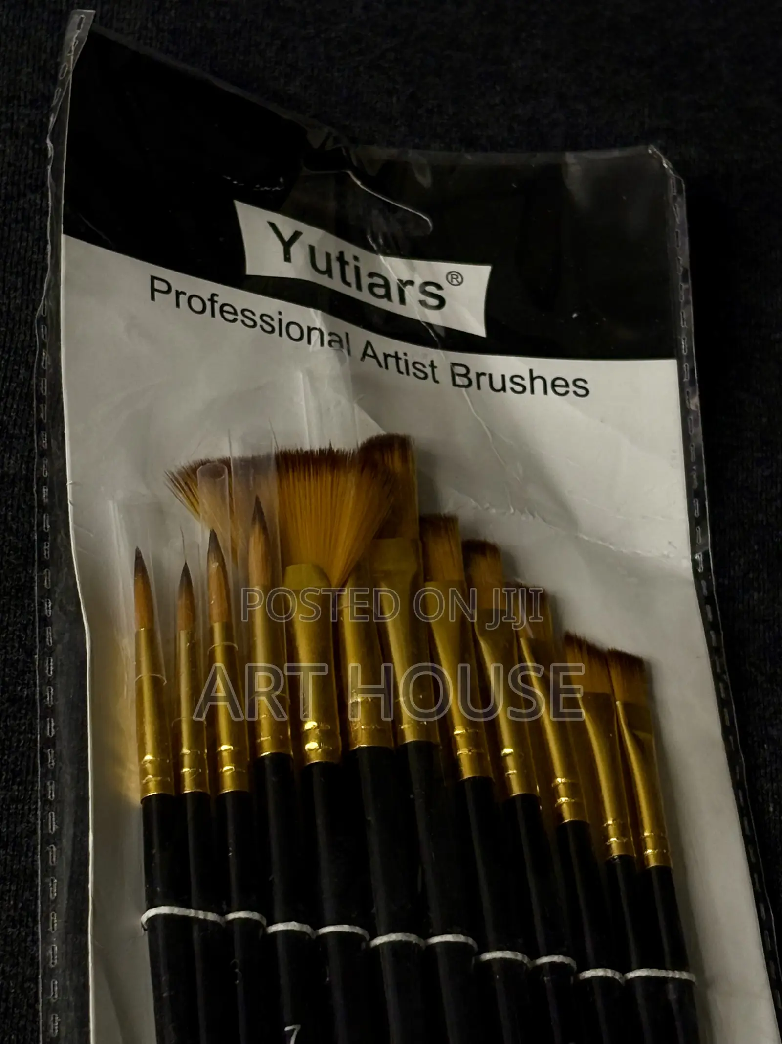 12pcs Professional Paint Brushes Set