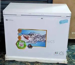 Everest Chest Freezer Is a White, Top-Loading Appliance With
