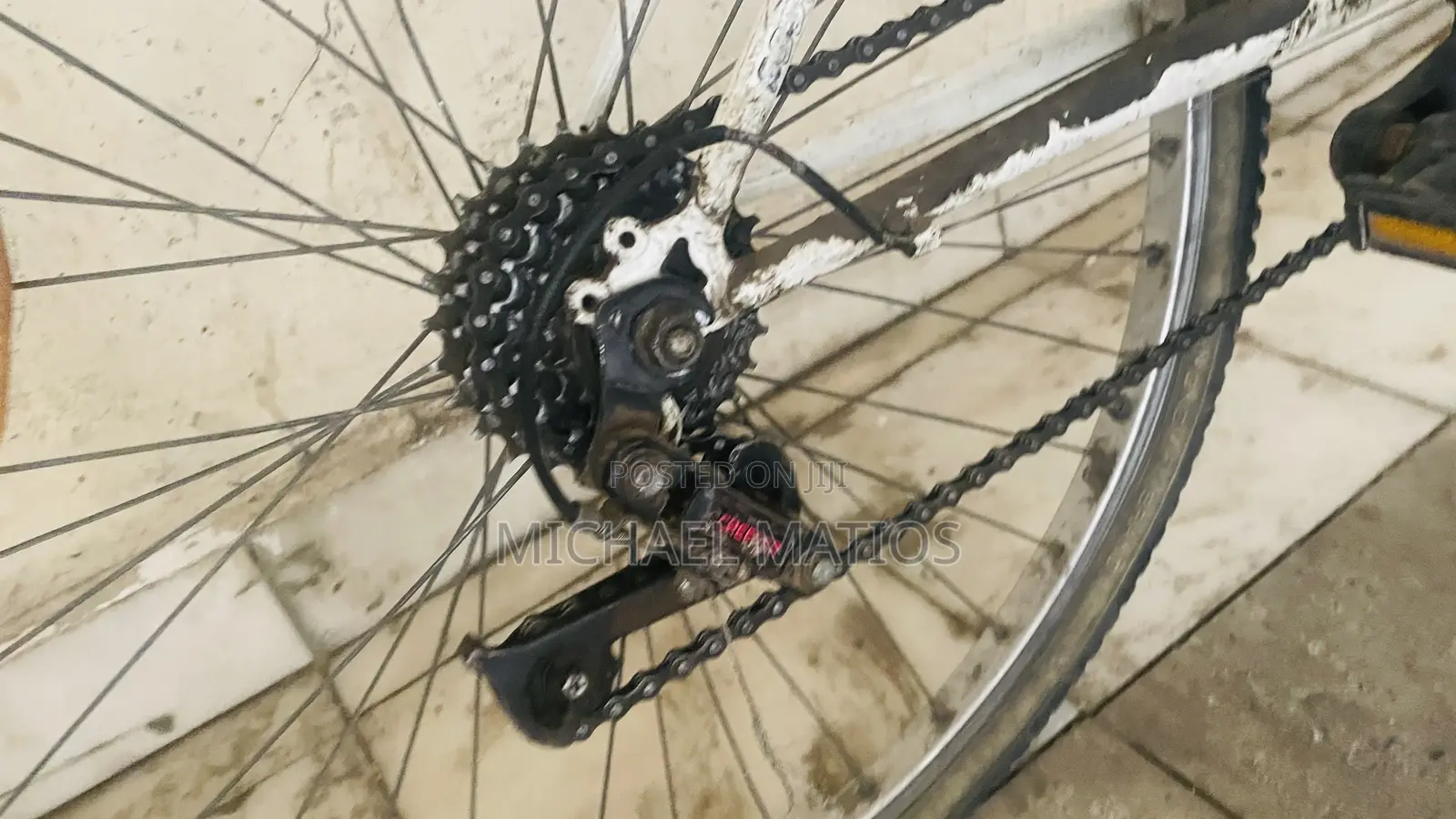 Bicycle Cyclist