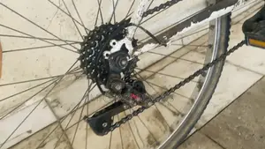 Bicycle Cyclist