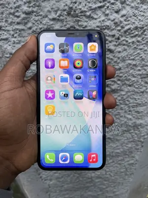 Apple iPhone 11 Pro Max 256 GB Gray