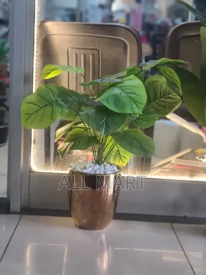 Artificial Plant Available