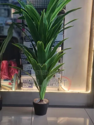 Artificial Plant Available