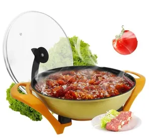 Electric Cooking Pot