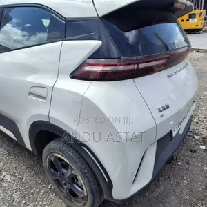 BYD Seagull 30 kWh FWD 2024 Beige