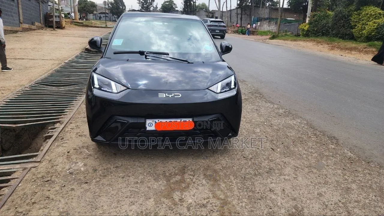 BYD Seagull 2024 Gray