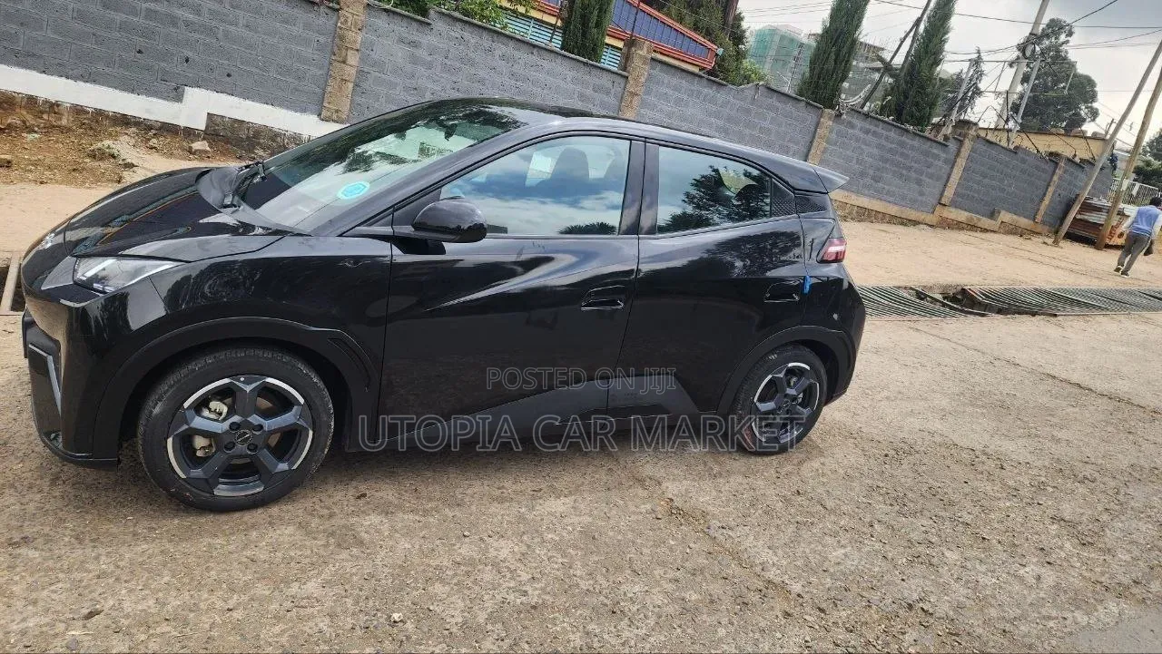 BYD Seagull 2024 Gray