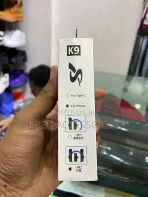 Wireless Mic