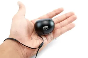 Jbl Mini Portable Speaker