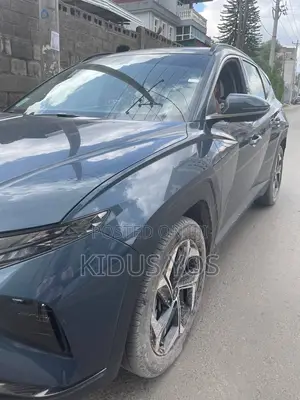 Hyundai Tucson 2024 Blue