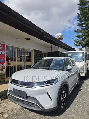 New BYD Yuan Up 2025 White