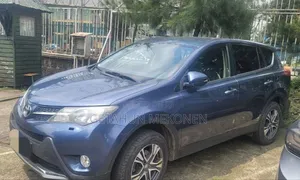Toyota RAV4 2013 Blue