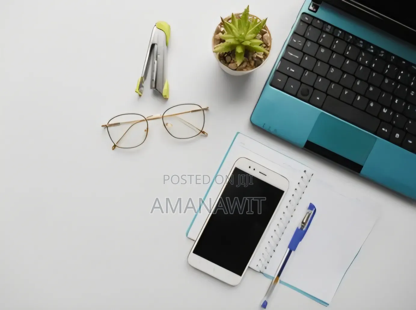 Online Sales Person