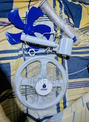 Fan Crown Brand Electric