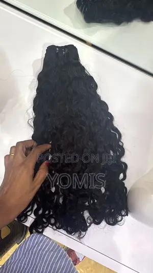Human Hair/Wig