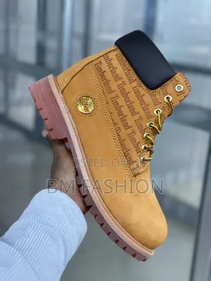 Timberland Graphic 6-Inch