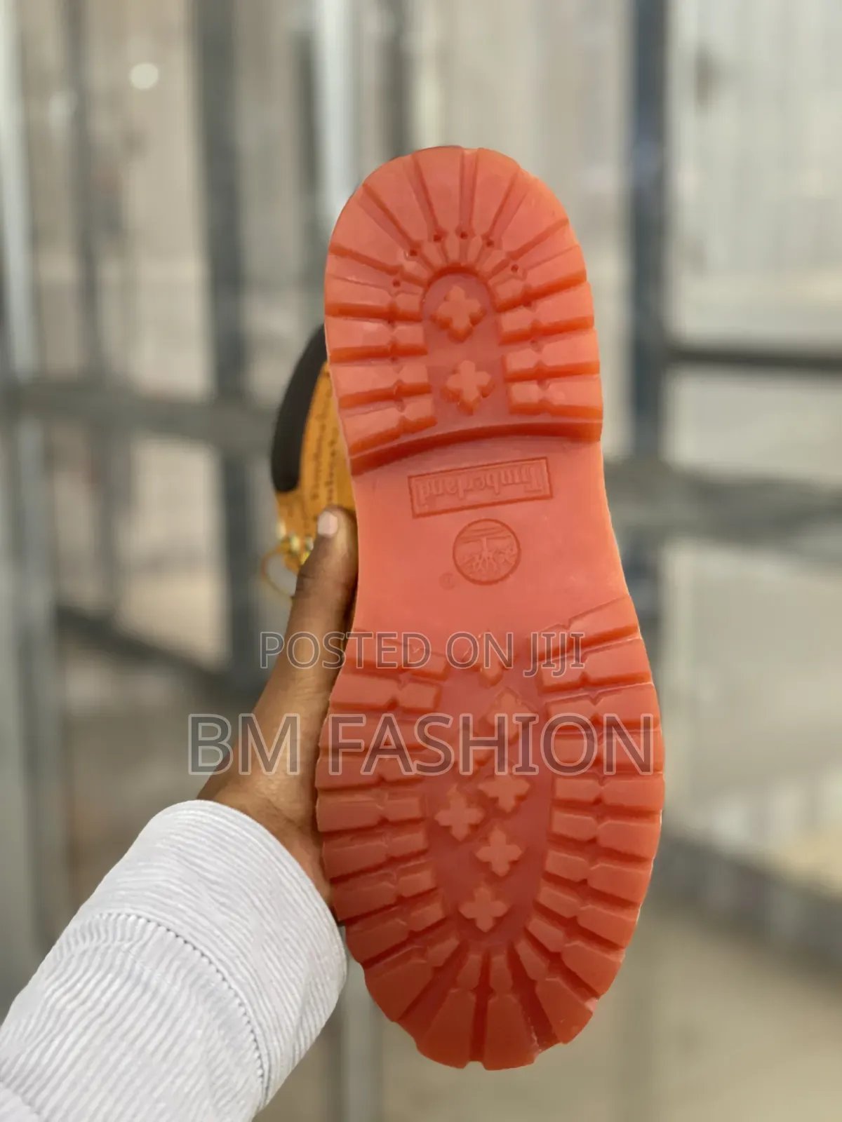 Timberland Graphic 6-Inch