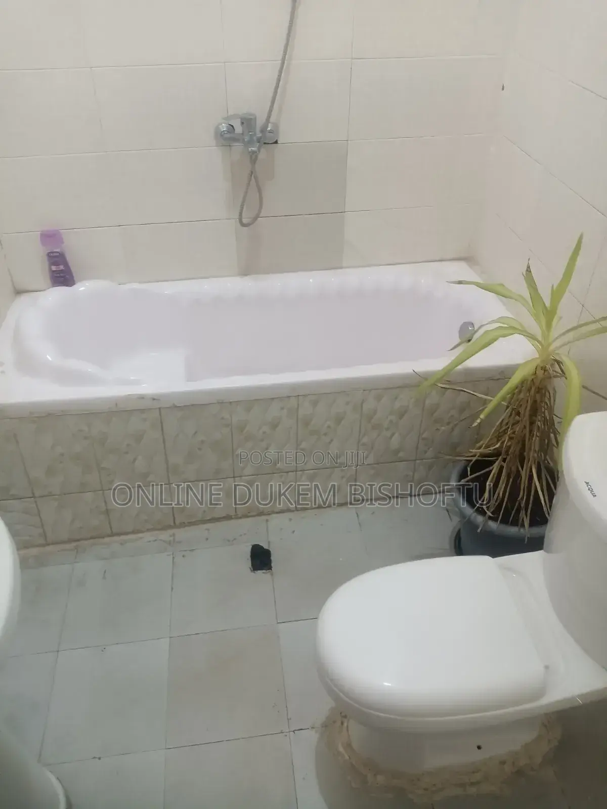 Furnished 7bdrm Villa in Dukem, East Shewa for sale