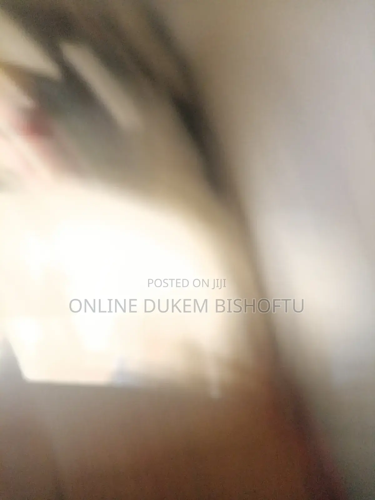Furnished 7bdrm House in Dukem, East Shewa for sale