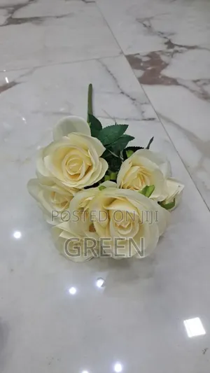 Rose 9 ግንድ