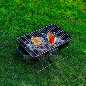 Portable BBQ Grill