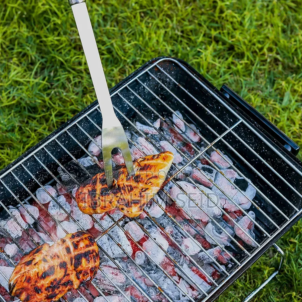 Portable BBQ Grill