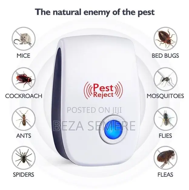 Tired Of Dealing With Mice, Roaches, Ants, And Spiders Homeessentials