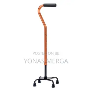 Walking Stick/4-Legged丫鑌carry, and Can Be Easily Stretched * Non-Slip