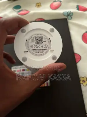 Xioami Surveillance Camera