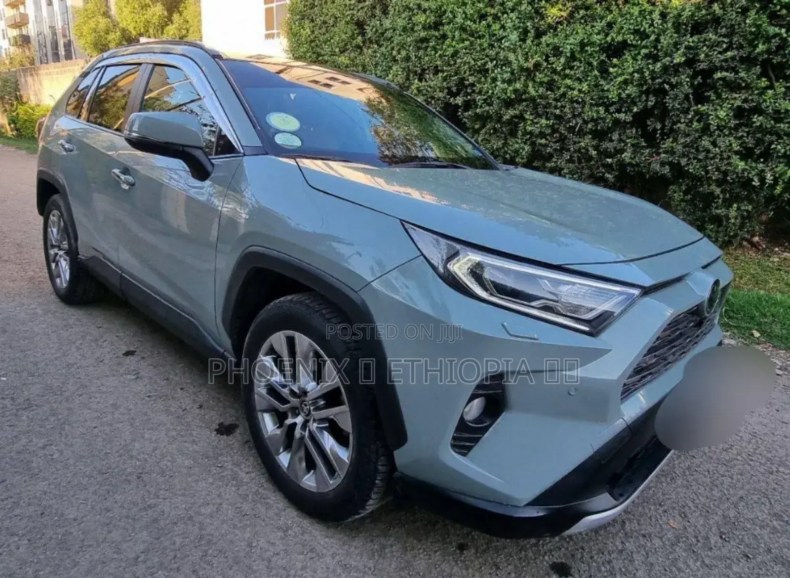 Toyota RAV4 2021 Green