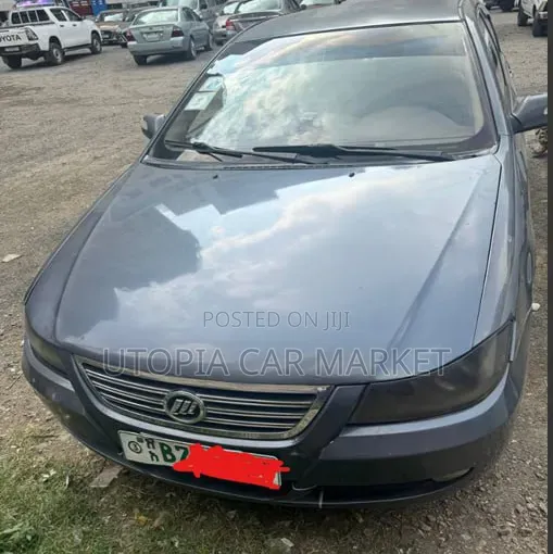 Lifan Abay 2012 Gray