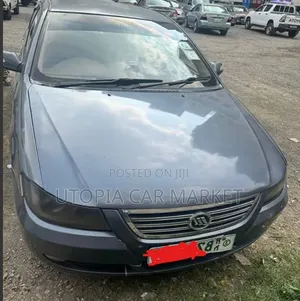 Lifan Abay 2012 Gray