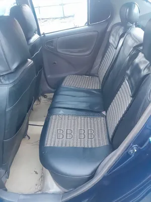 Toyota Platz 2001 Blue