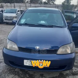 Toyota Platz 2001 Blue