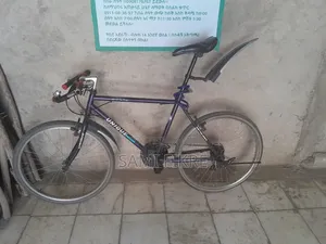 Unique Bike