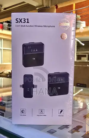 3 in 1 Wireless Microphone