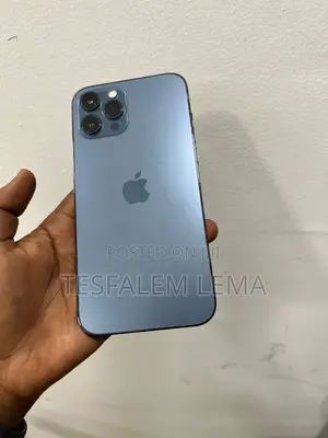 Apple iPhone 12 Pro Max 512 GB Gray