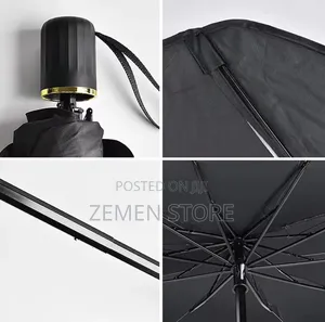 Automobile Window Umbrella