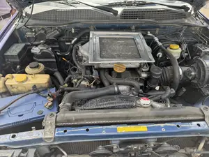 Nissan Terrano 2003 Blue