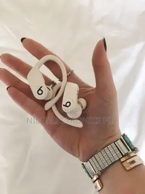 Original Beats by Dr. Dre Powerbeats Pro Totally Wireless Earphones