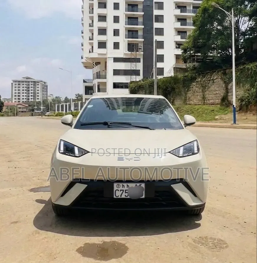 BYD Seagull 2025 Off white