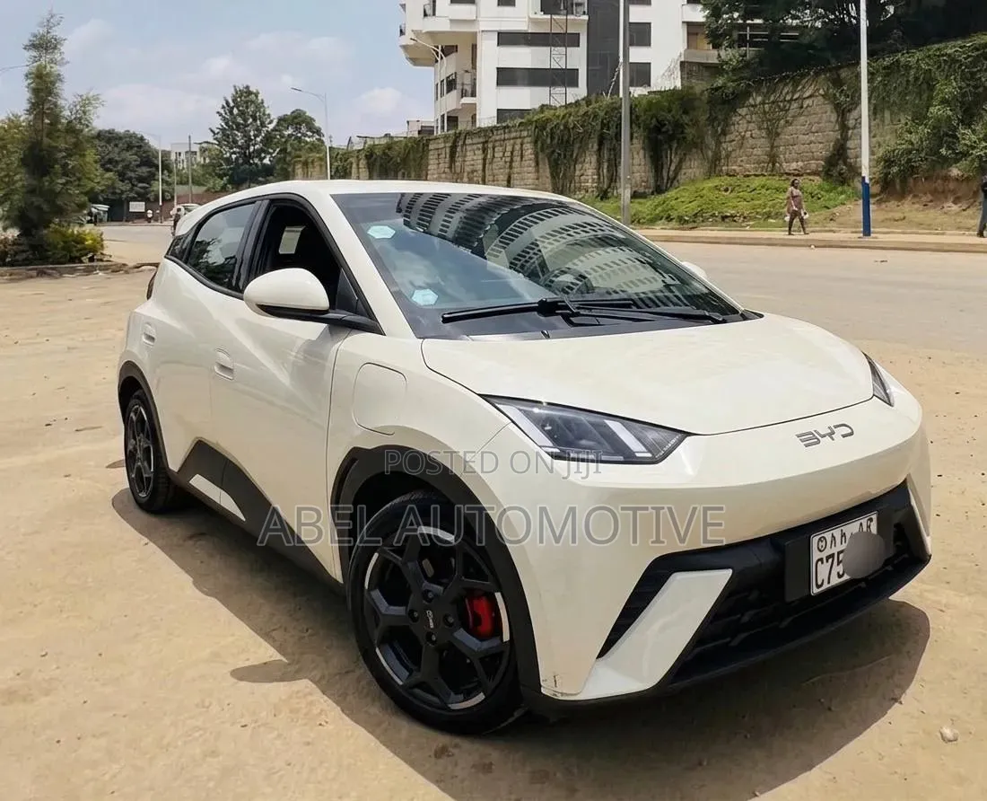 BYD Seagull 2025 Off white