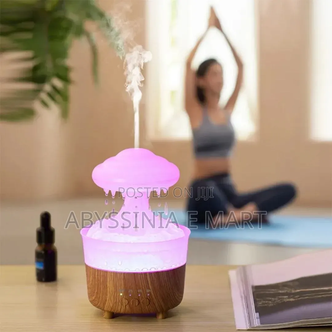 Water Drop Aromatherapy Humidifier
