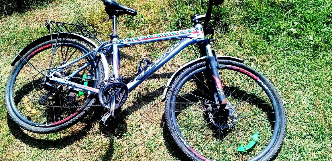 Phoenix Road Bike