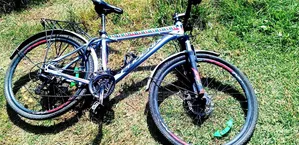 Phoenix Road Bike