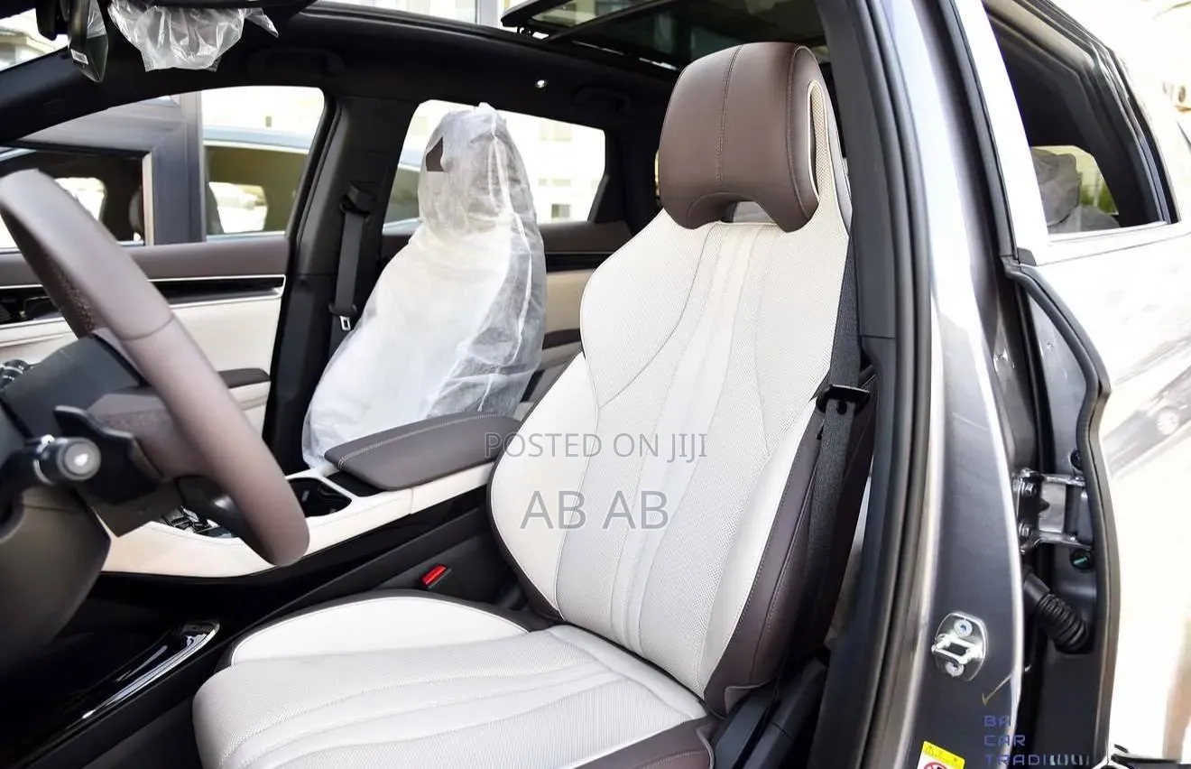 New BYD Song Plus 2025 Gray