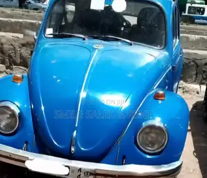 Volkswagen Fusca 1970 Blue